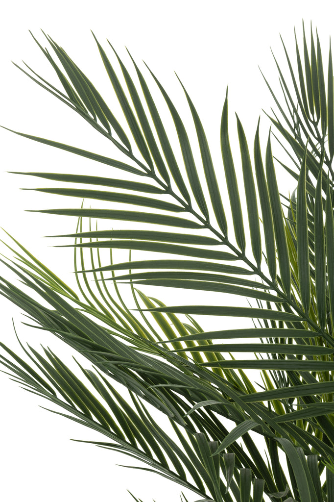 Palmboom Pot kunststof Groen