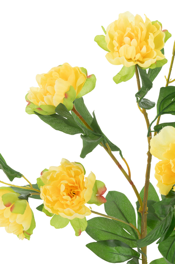 Pioenenpot, kunststof Geel