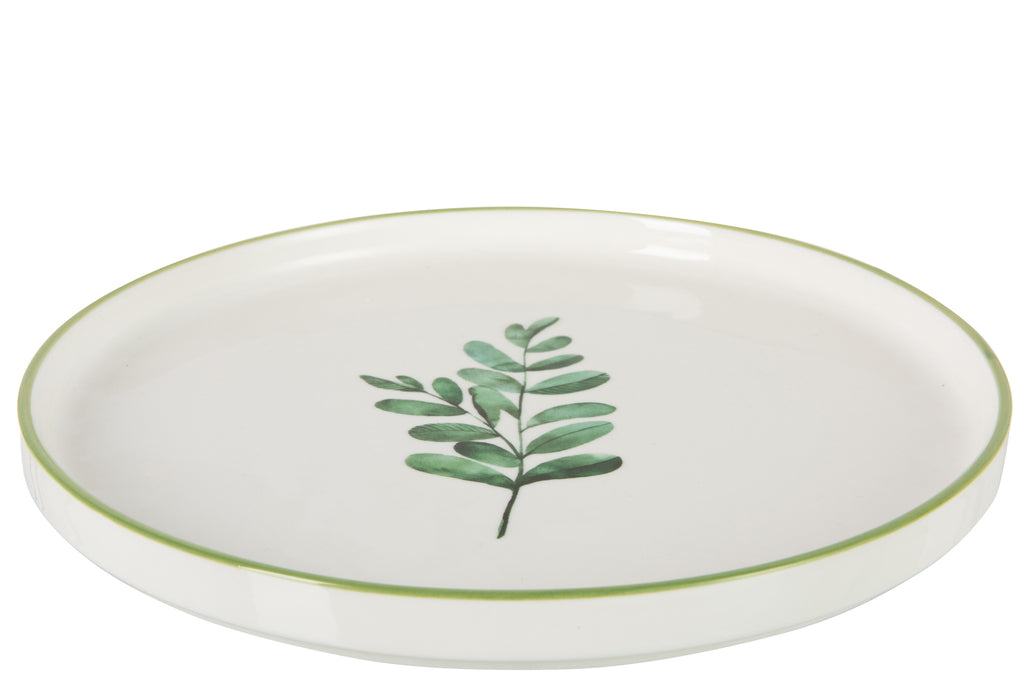Plaat Laag Eucalyptus Porselein Wit/Groen Groot