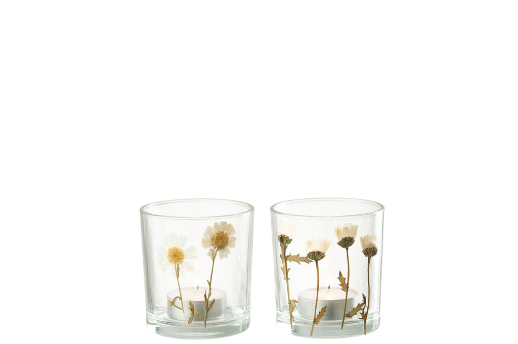 Theelicht Bloem Madeliefje Glas Mix Assortiment Van 2