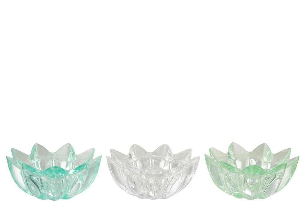 Theelichthouder Bloemen Koud Glas Mix Assortiment Van 3