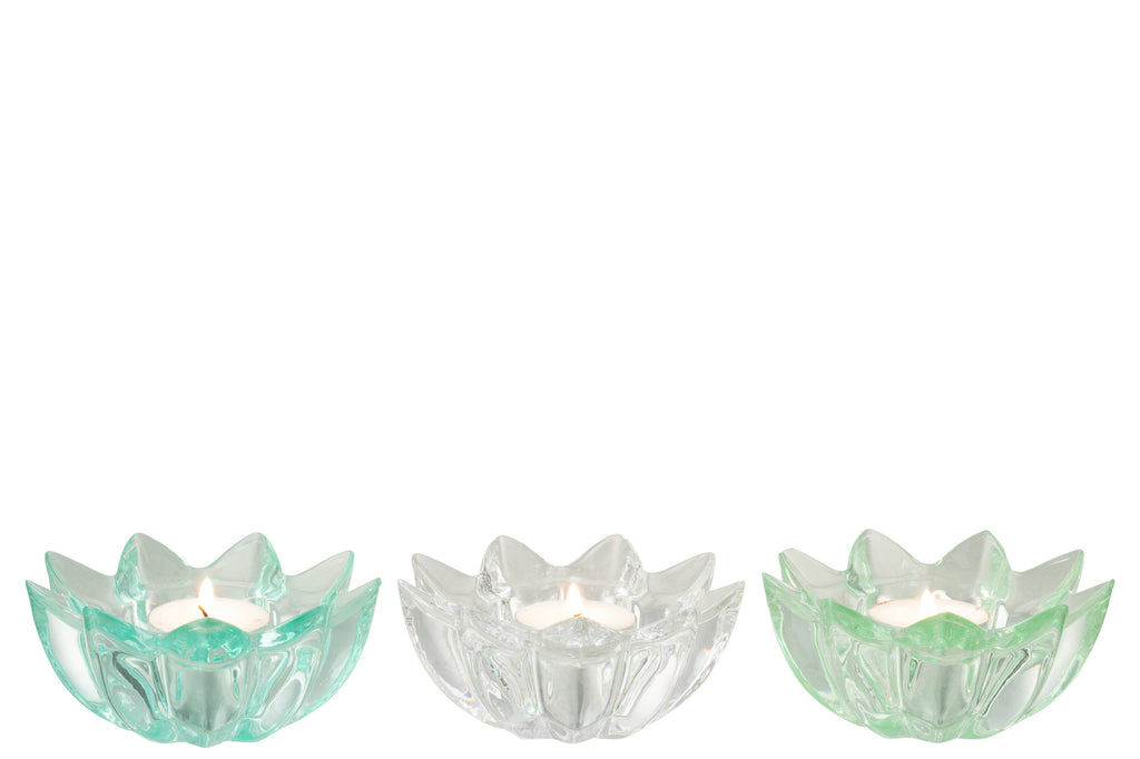 Theelichthouder Bloemen Koud Glas Mix Assortiment Van 3