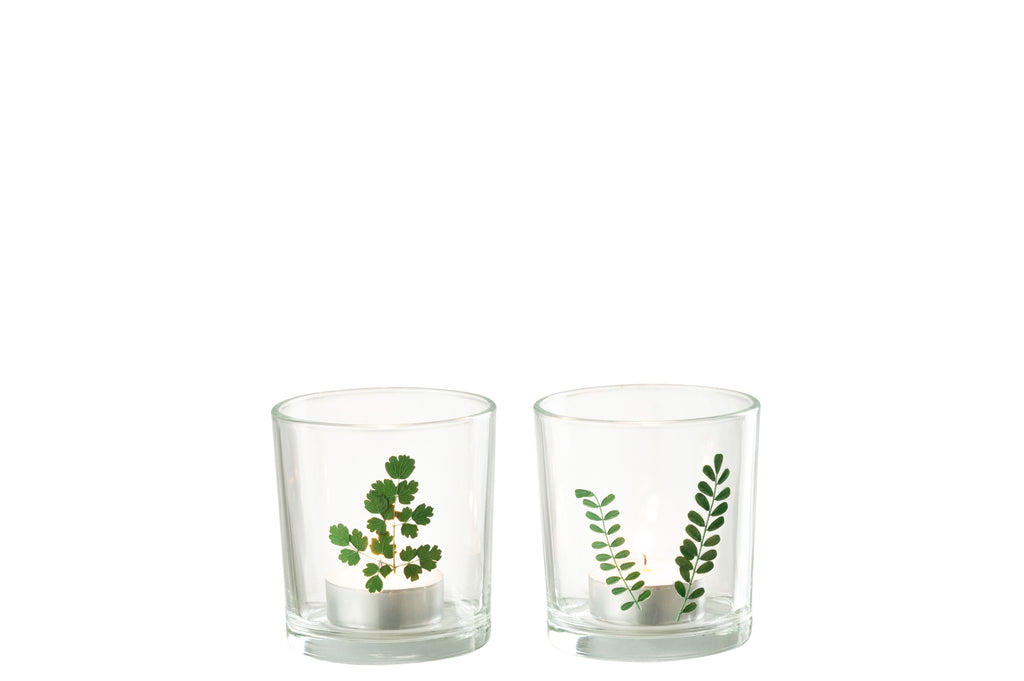 Theelicht Blad Glas Groen/Transparant Assortiment Van 2