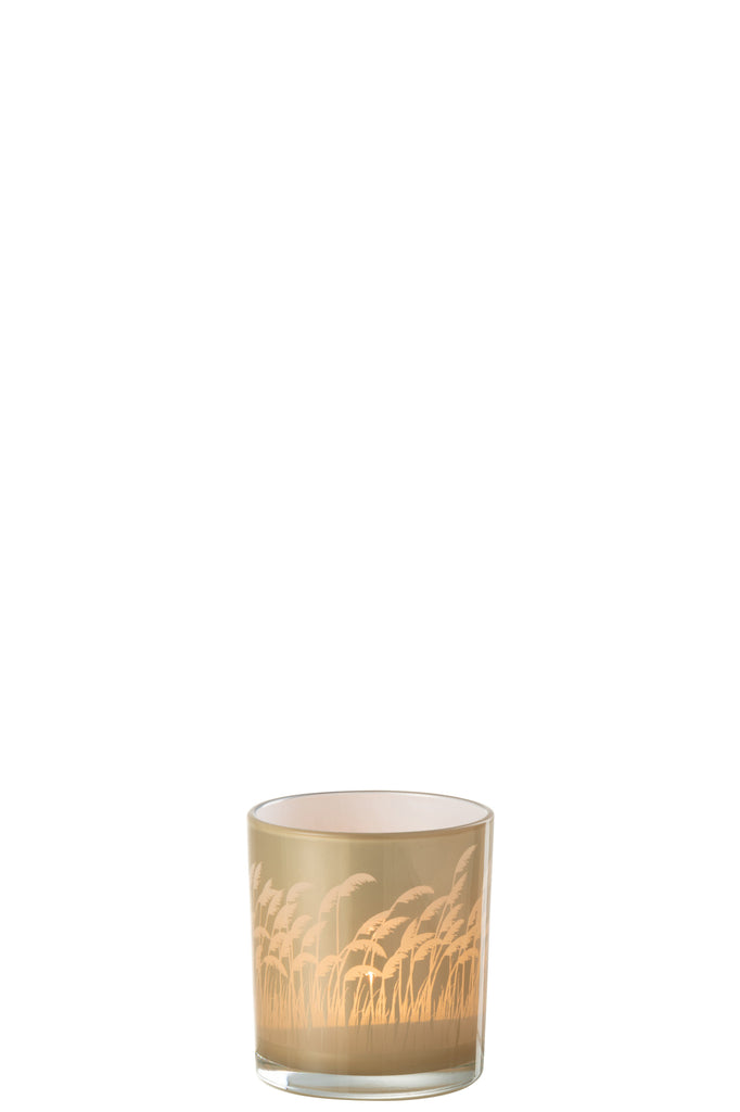 Theelicht Pampas Glas Beige/Wit