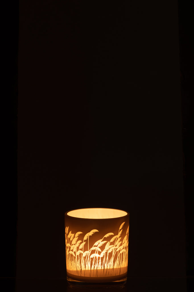 Theelicht Pampas Glas Beige/Wit