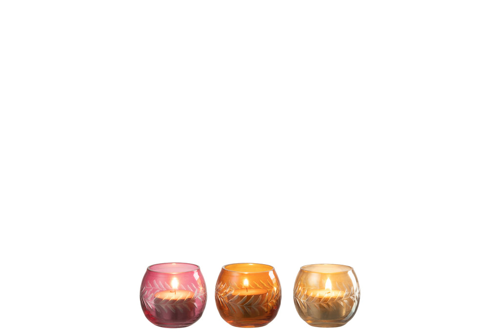 Theelichthouder Bladeren Ronde Glas Mix Assortiment Van 3