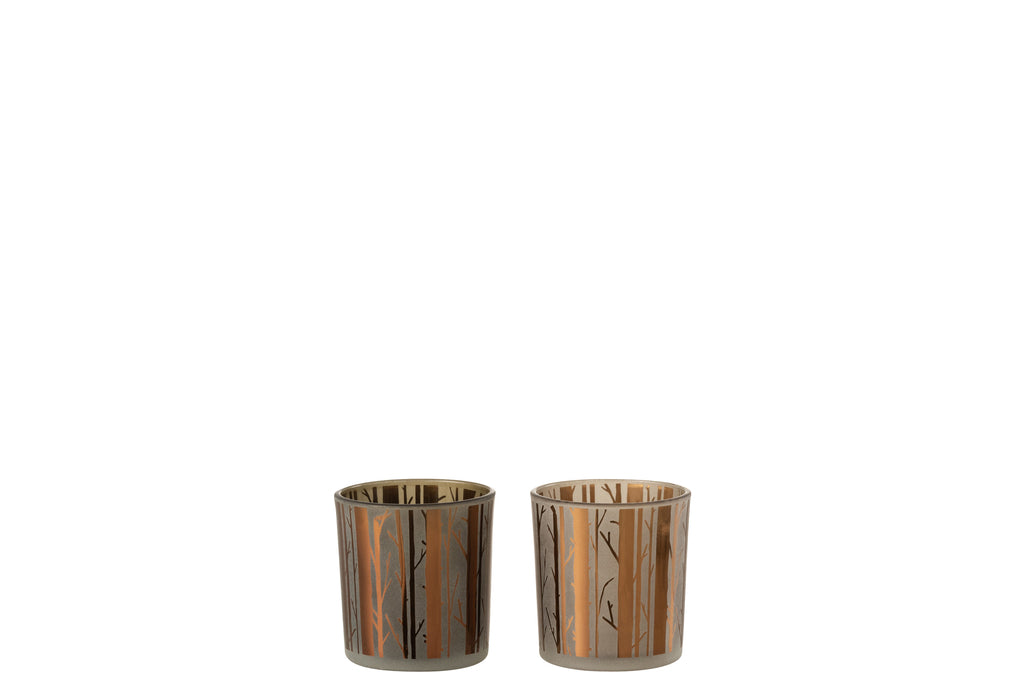 Theelichthouder Boom Glas Bruin Klein Assortiment Van 2