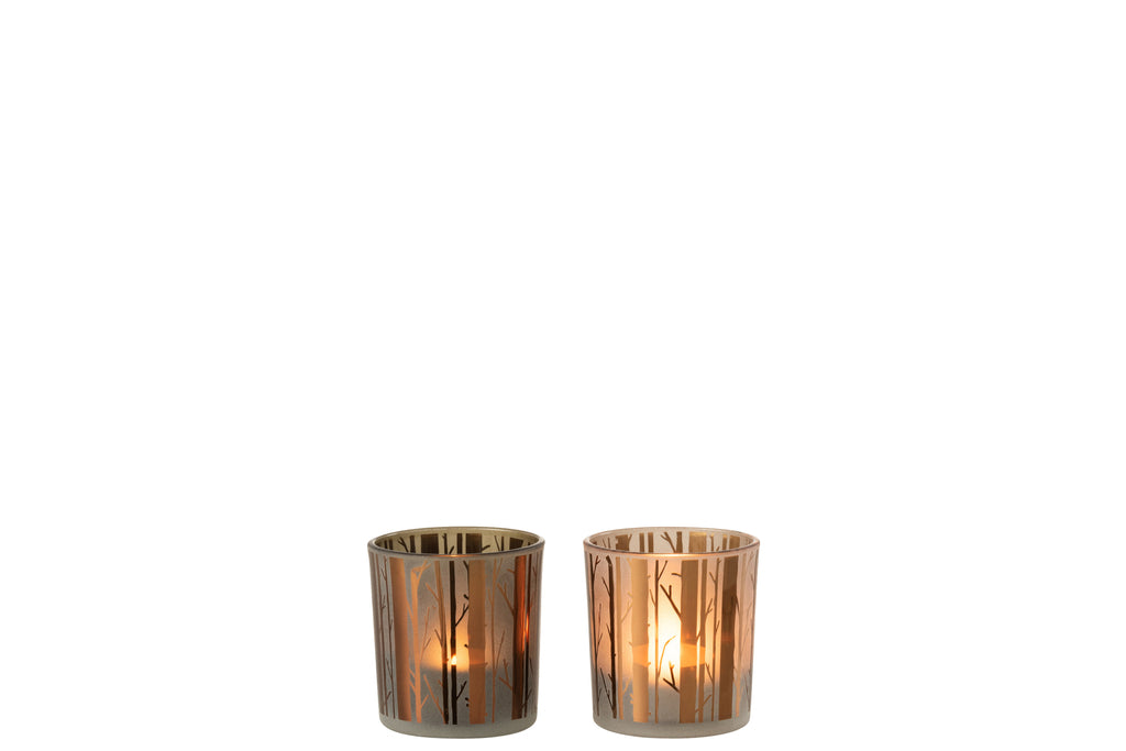 Theelichthouder Boom Glas Bruin Klein Assortiment Van 2
