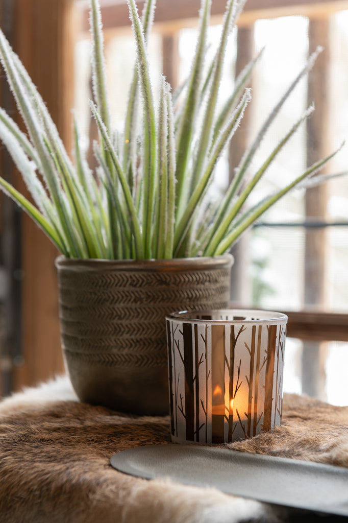 Theelichthouder Boom Glas Bruin Klein Assortiment Van 2