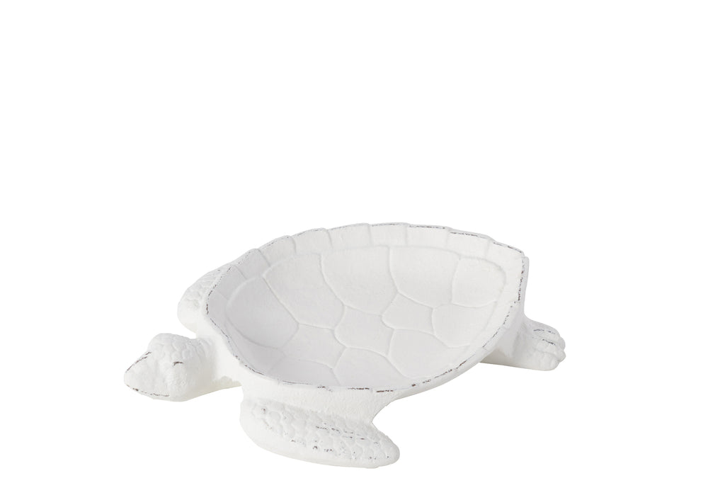 Plank Schildpad Todi IJzer Wit