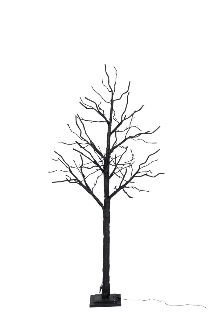 Boom Bare + 78 Warm Witte Leds + Adapterkabel 3M Glitter Zwart Groot