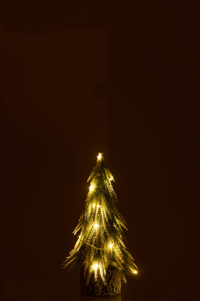 Kerstboom A+Led Plastic Sneeuw Groen Klein