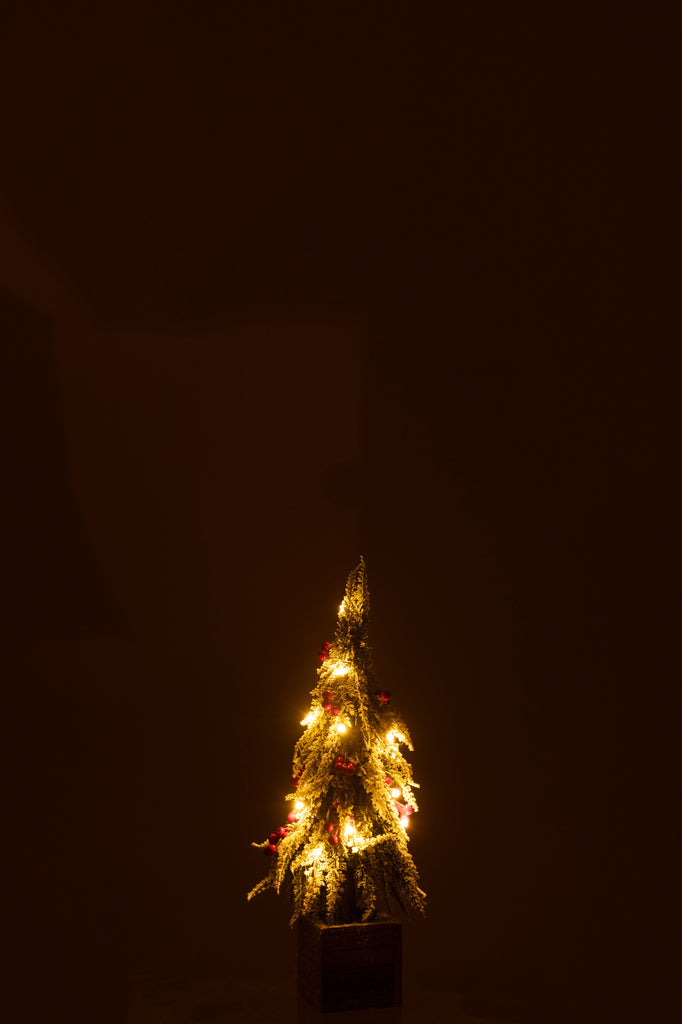 Kerstboom + Led Plastic Sneeuw Groen/Rood Klein