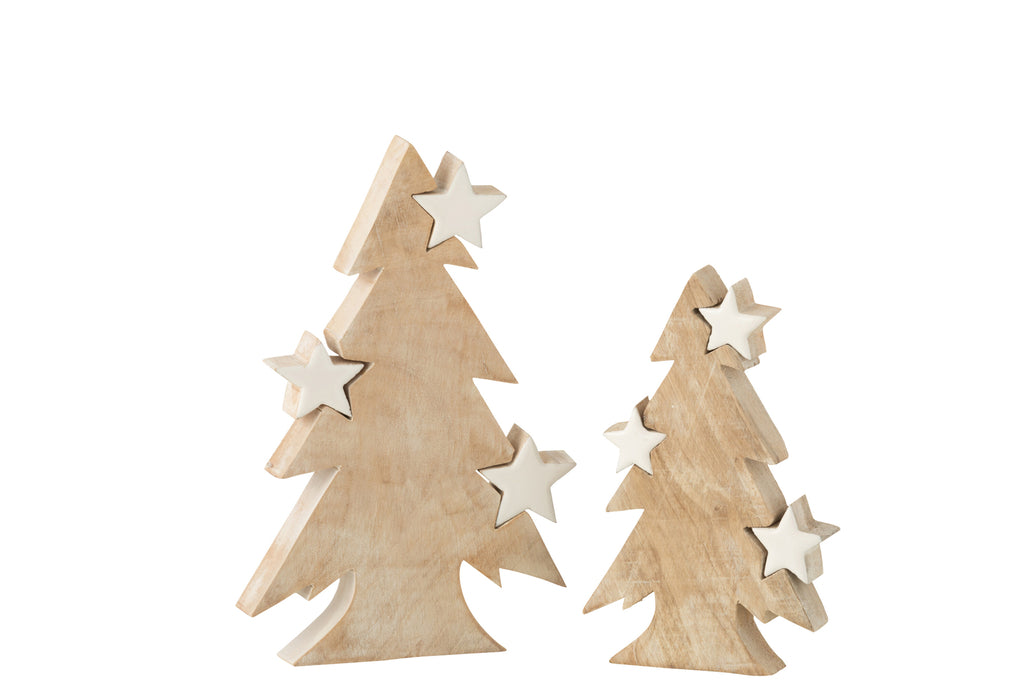 Kerstboomster Mangohout Witgewassen/Wit Groot