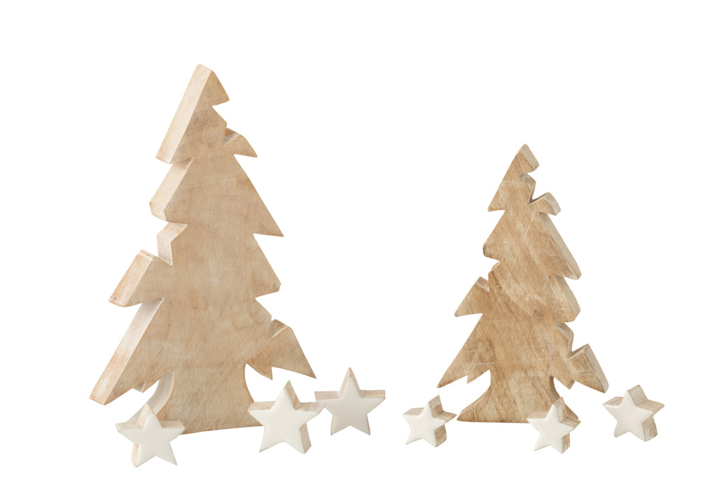 Kerstboomster Mangohout Witgewassen/Wit Groot