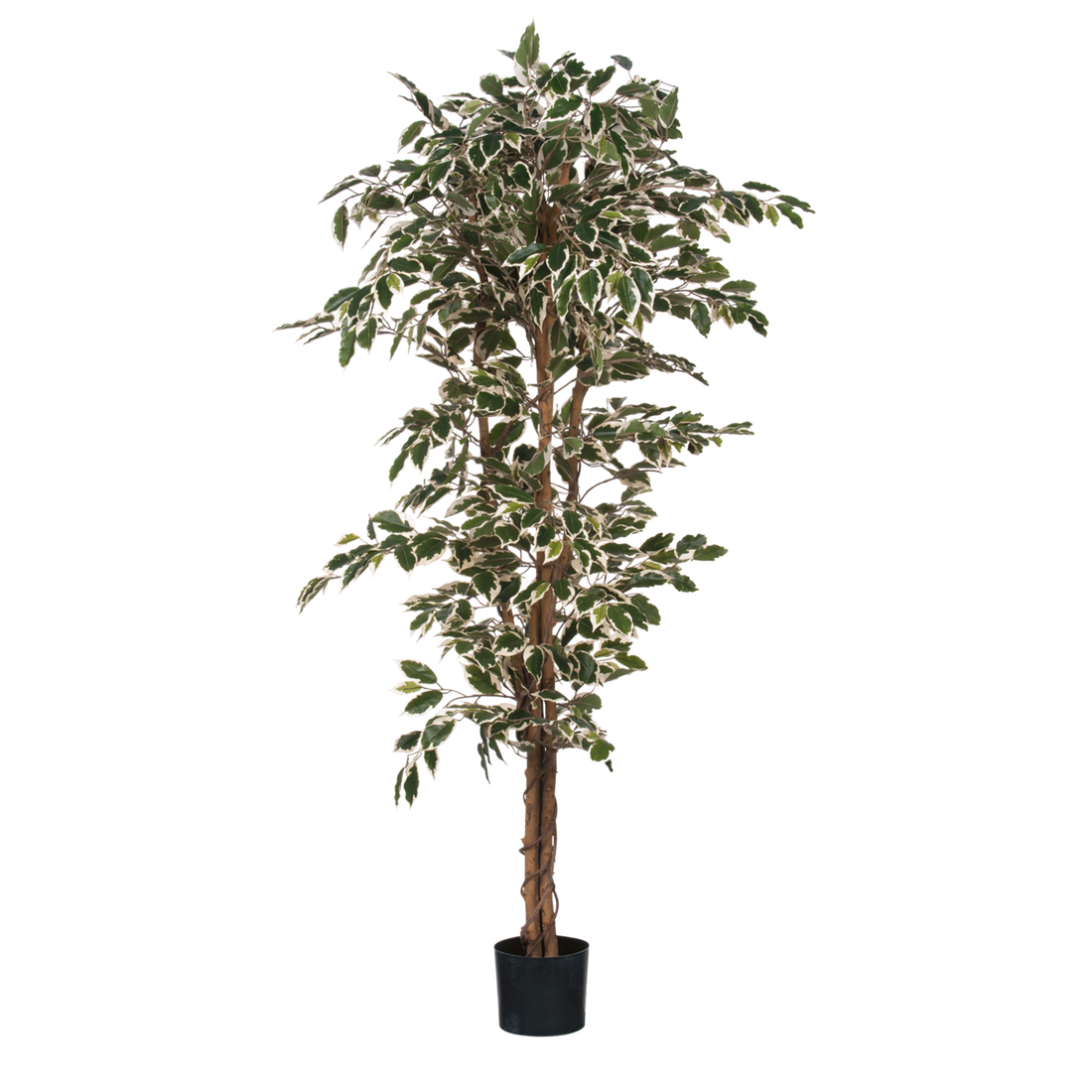 Ficus Kunstplant - H180 x Ã˜90 cm - Groen Bont