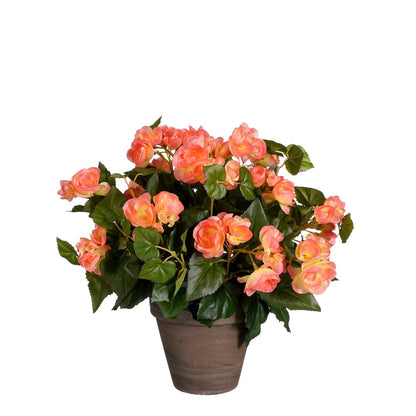 Begonia Kunstplant in Bloempot Stan - H37 x Ø36 cm - Zalmroze