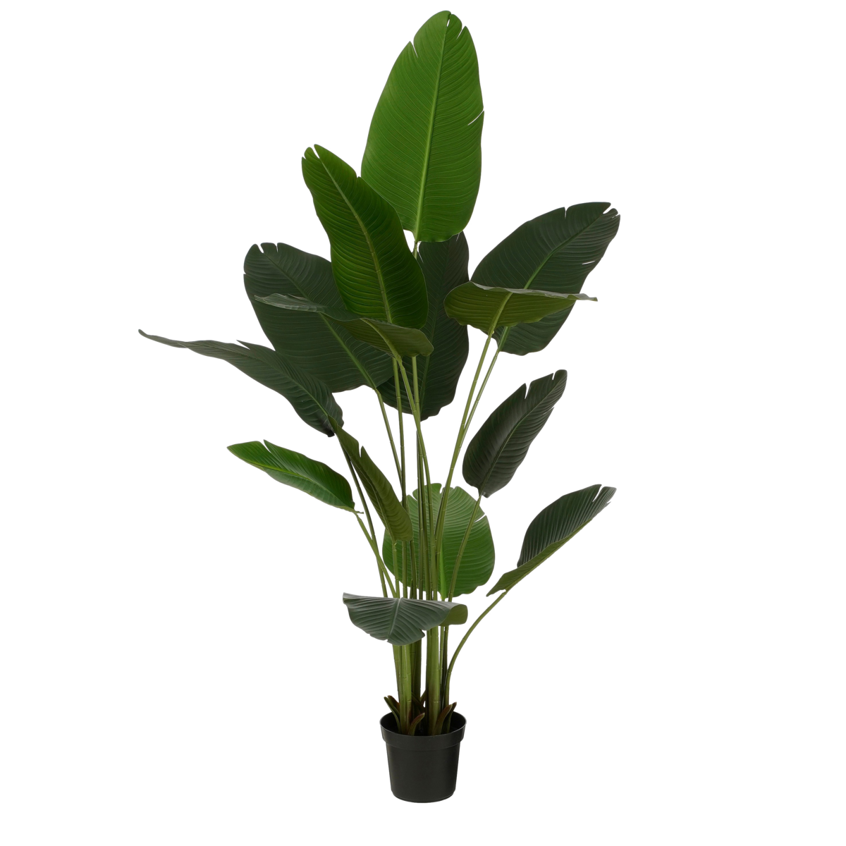 Kunstplant Bananenboom in Pot - H180 x Ã˜30 cm - Groen