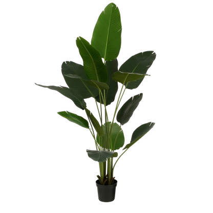 Kunstplant Bananenboom in Pot - H180 x Ã˜30 cm - Groen