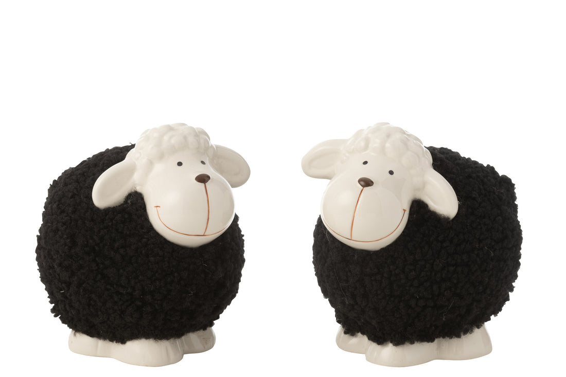 Vel Porselein Wit/Zwart Groot Assortiment Van 2