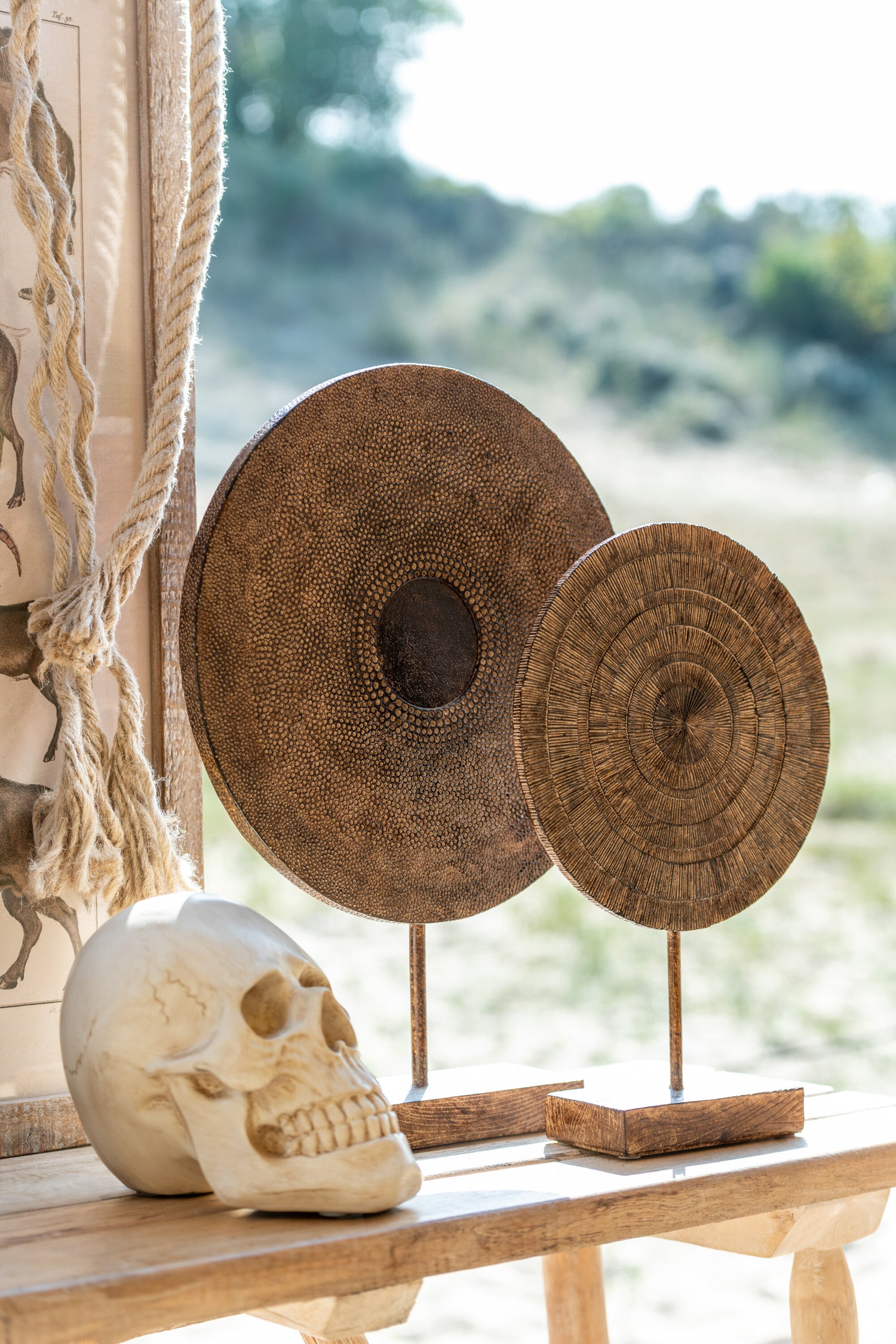 Schedel Poly Beige Klein