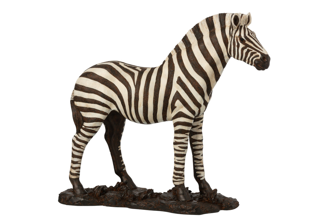 Zebra Poly Wit/Zwart Groot