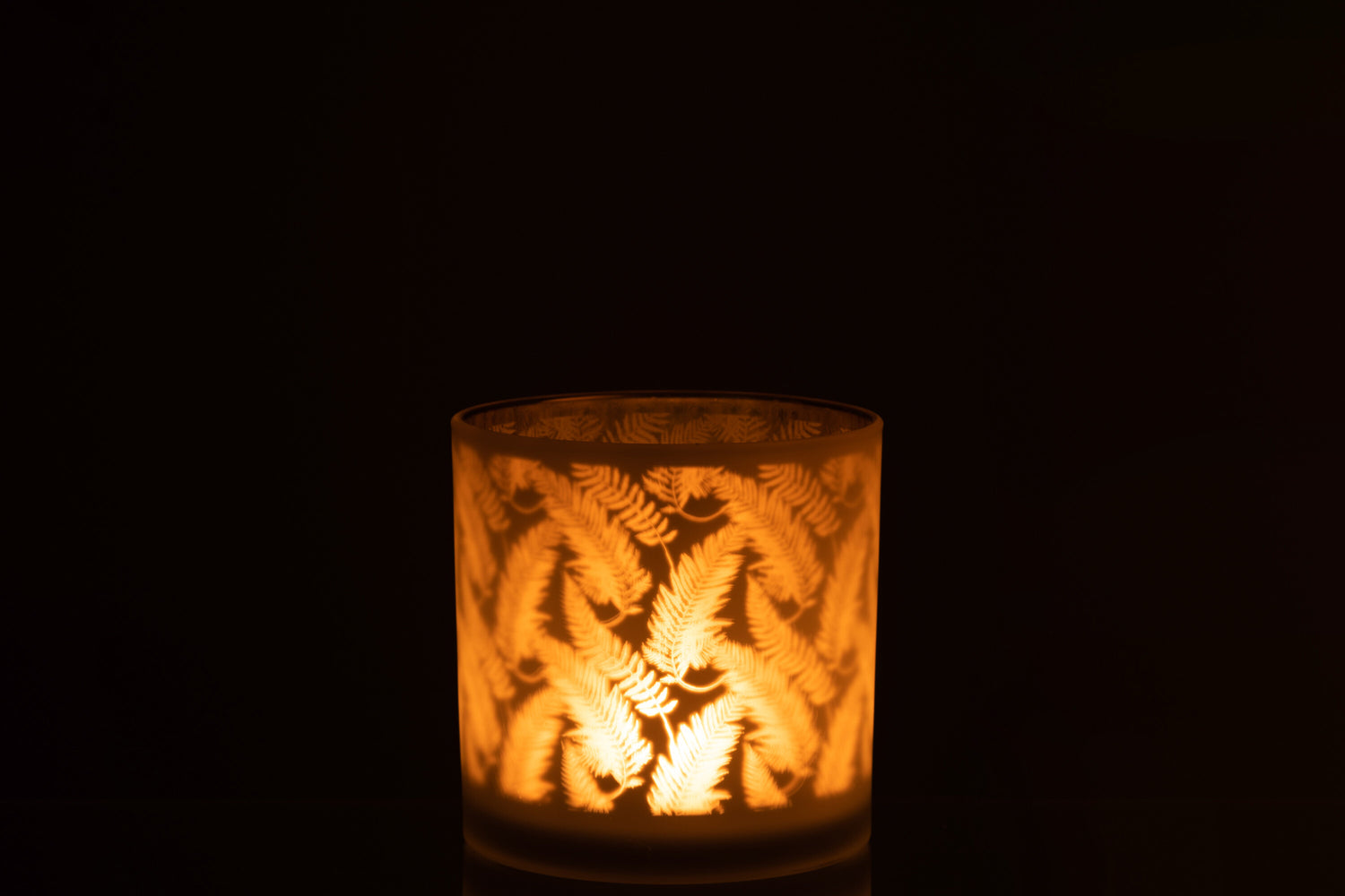 Orkaanbladglas Wit/Groen Groot