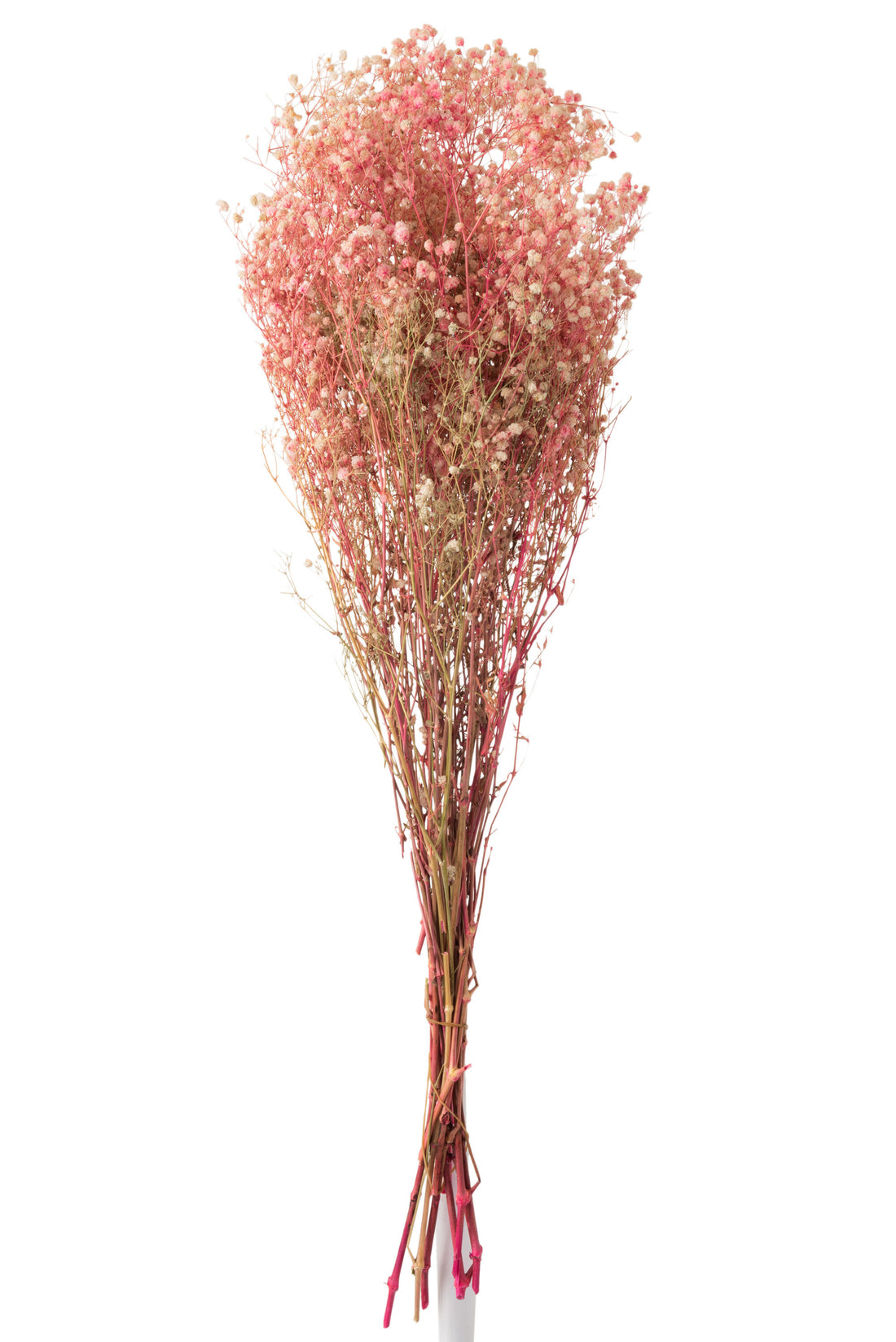 J-Line Bundel Gypsophilia Gedroogd Roze