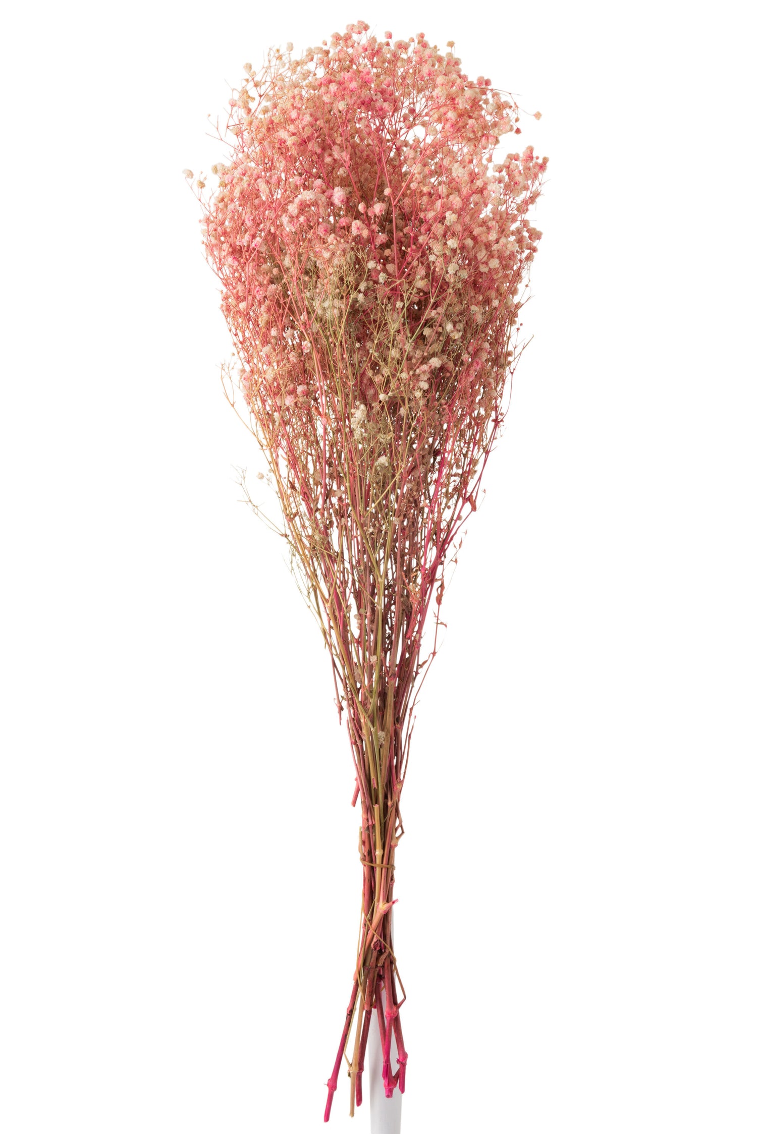 J-Line Bundel Gypsophilia Gedroogd Roze