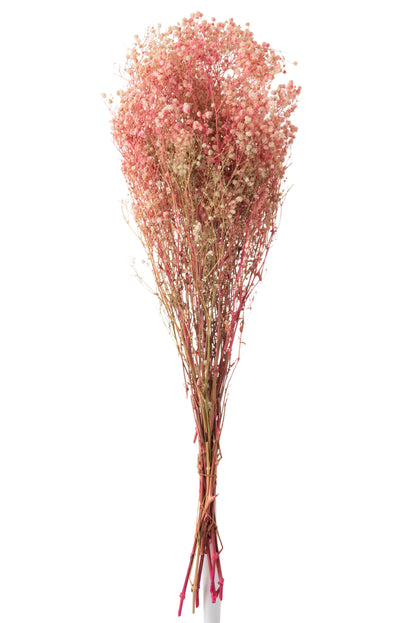 J-Line Bundel Gypsophilia Gedroogd Roze