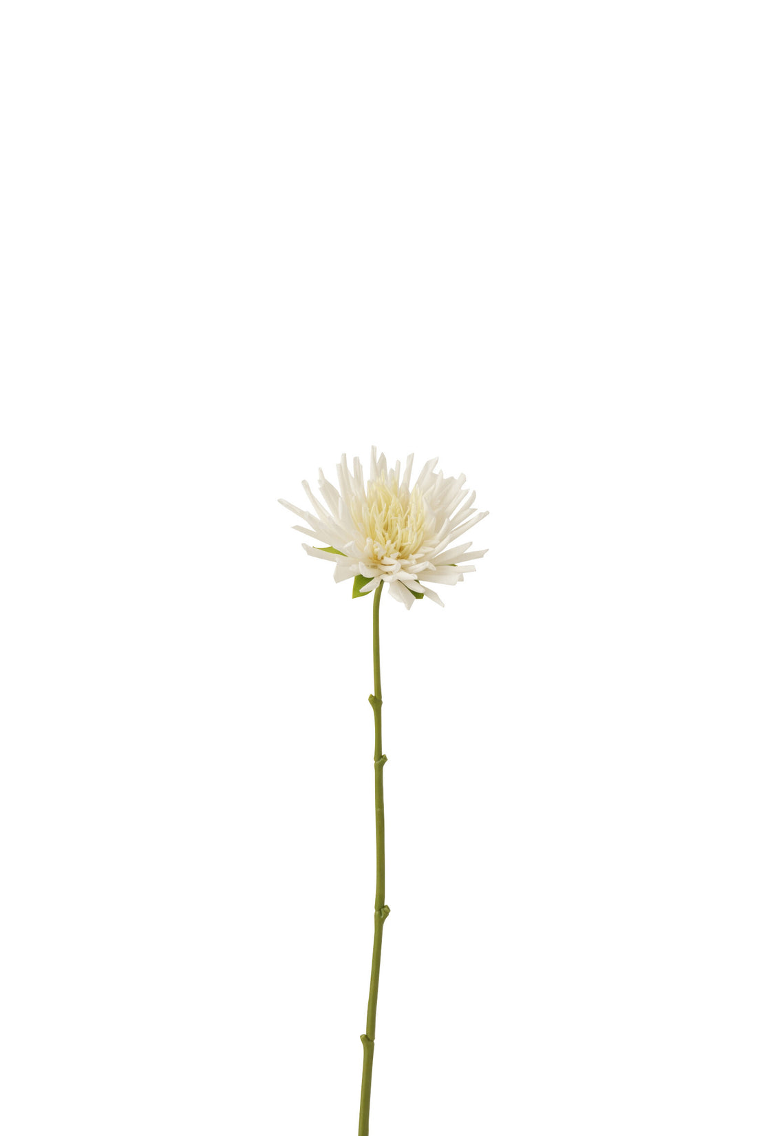 J-Line Chrysant Mini Plastiek Wit Small