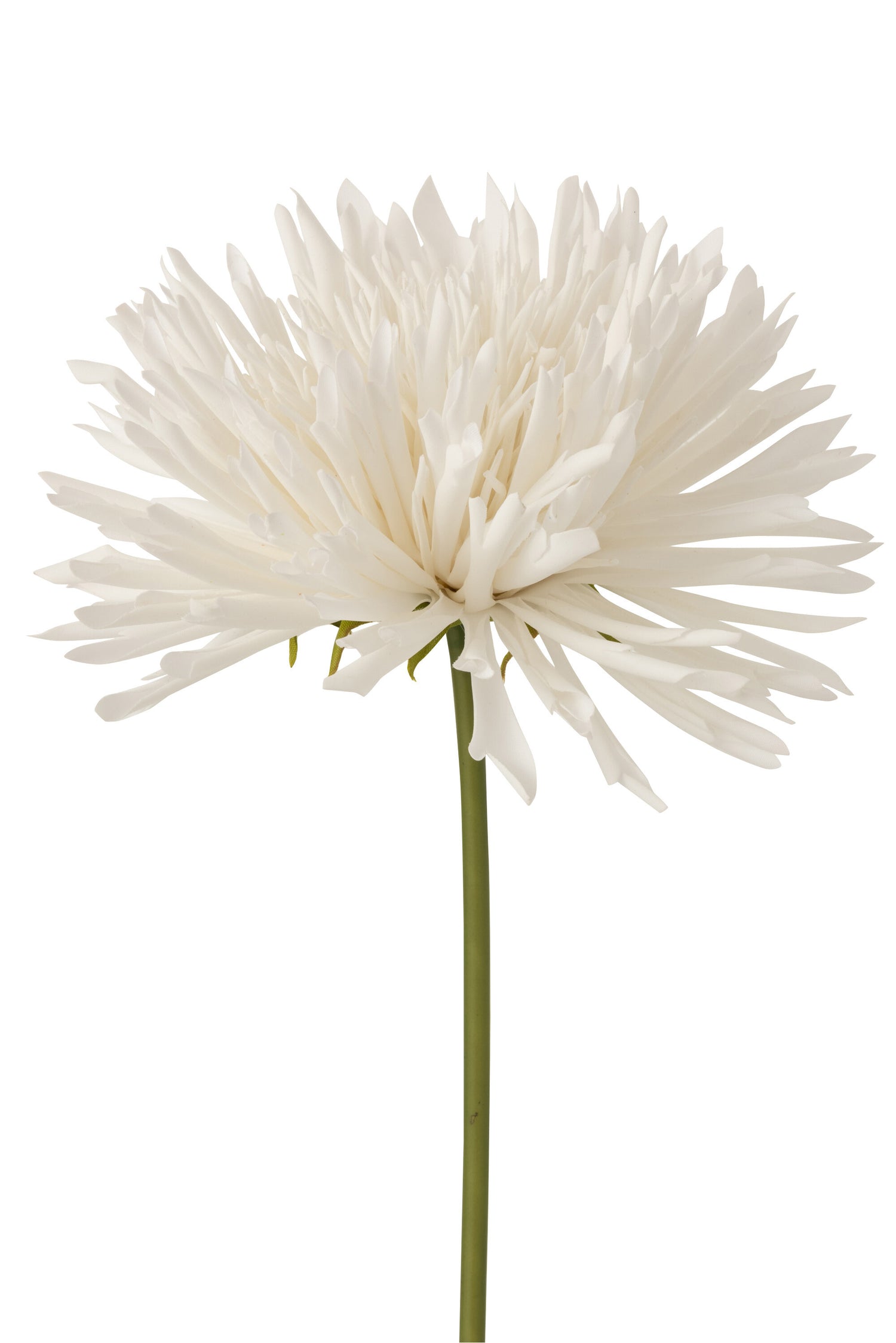 J-Line Chrysant Plastiek Wit Large