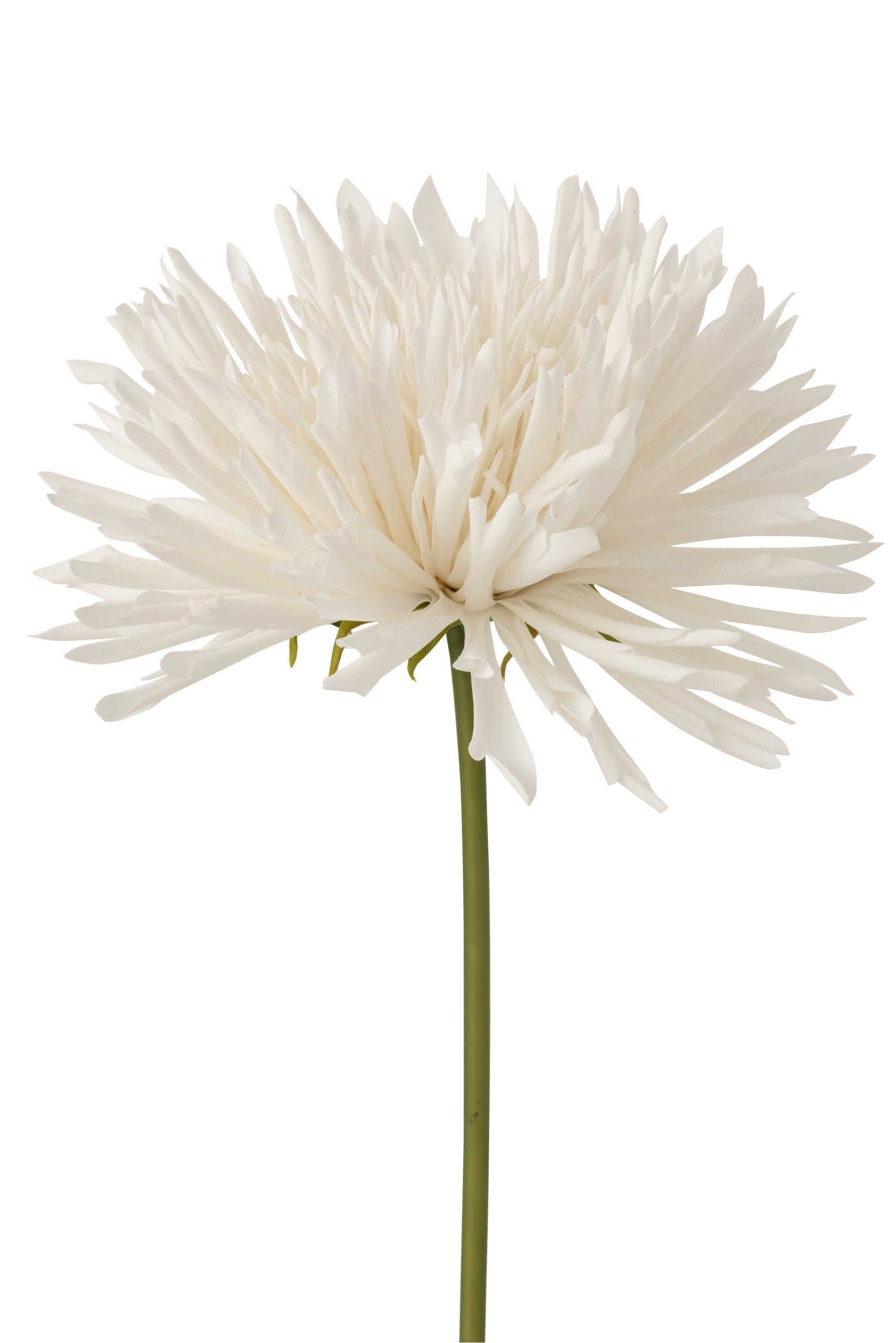 J-Line Chrysant Plastiek Wit Large