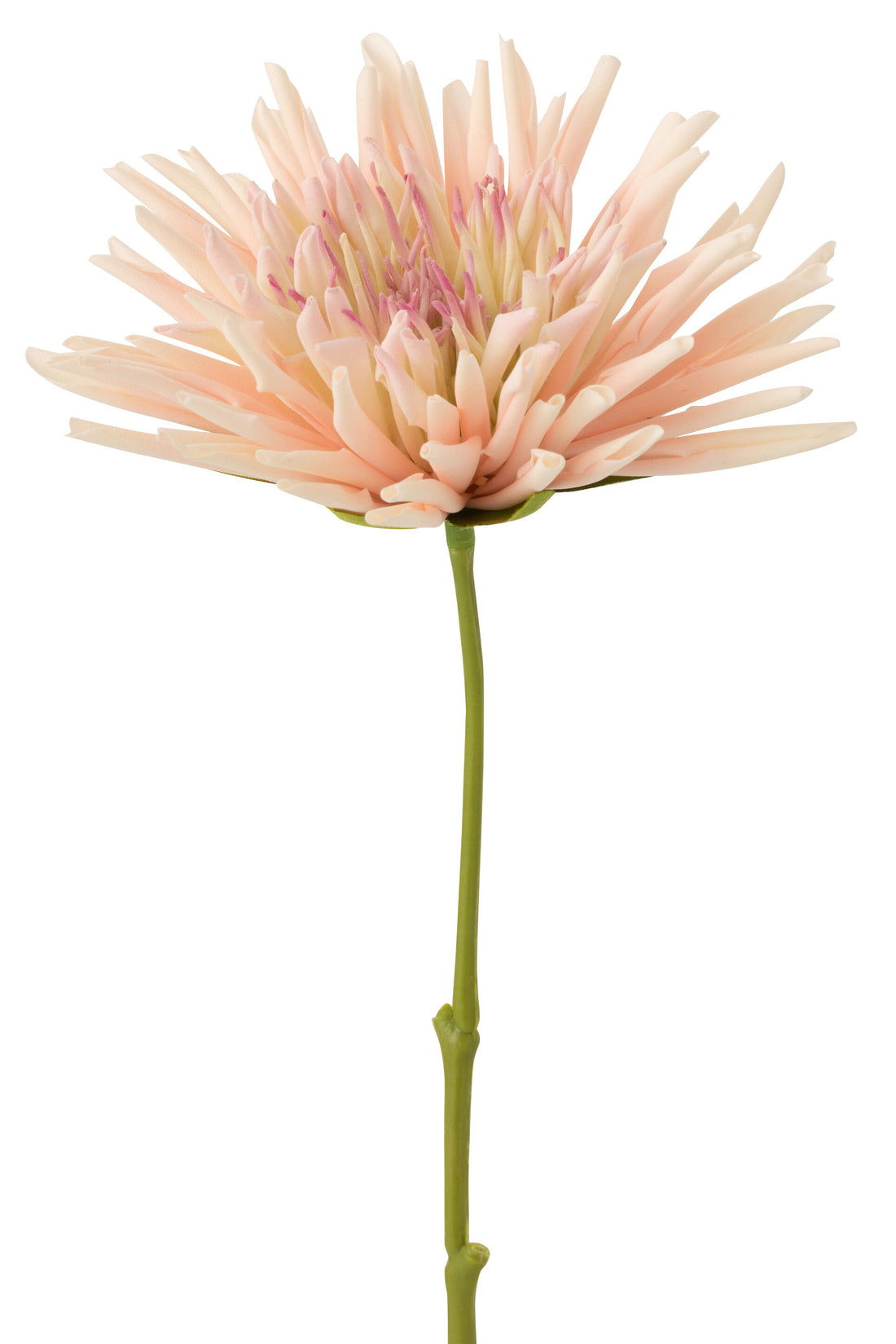 J-Line Chrysant Mini Plastiek Wit Licht Roze