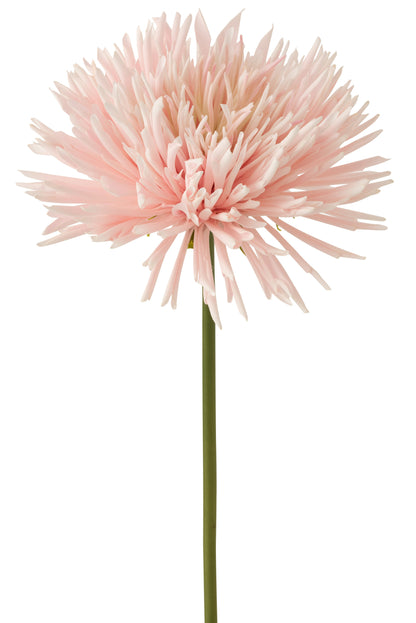 J-Line Chrysant Plastiek Wit Licht Roze