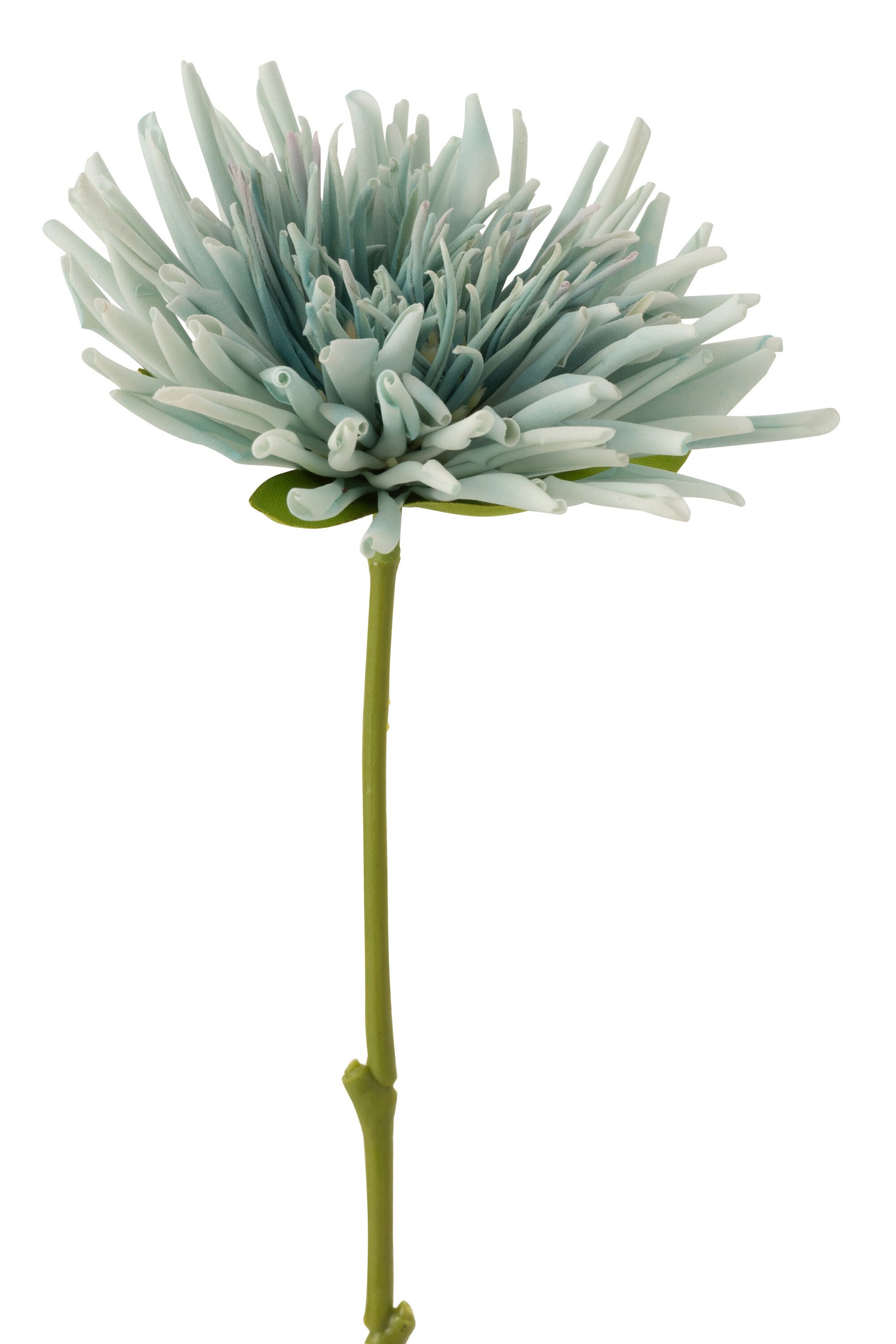 J-Line Chrysant Mini Plastiek Wit Licht Blauw