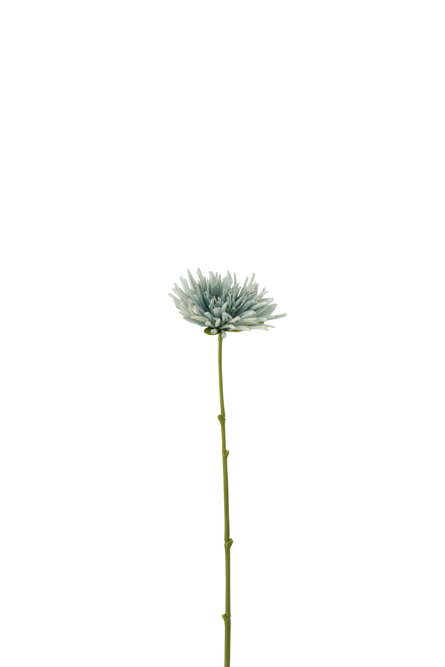 J-Line Chrysant Mini Plastiek Wit Licht Blauw