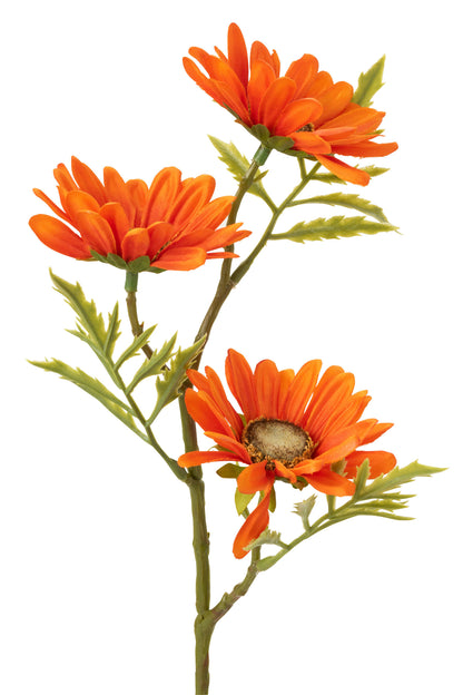 J-Line Bloem Madelief Plastiek Oranje