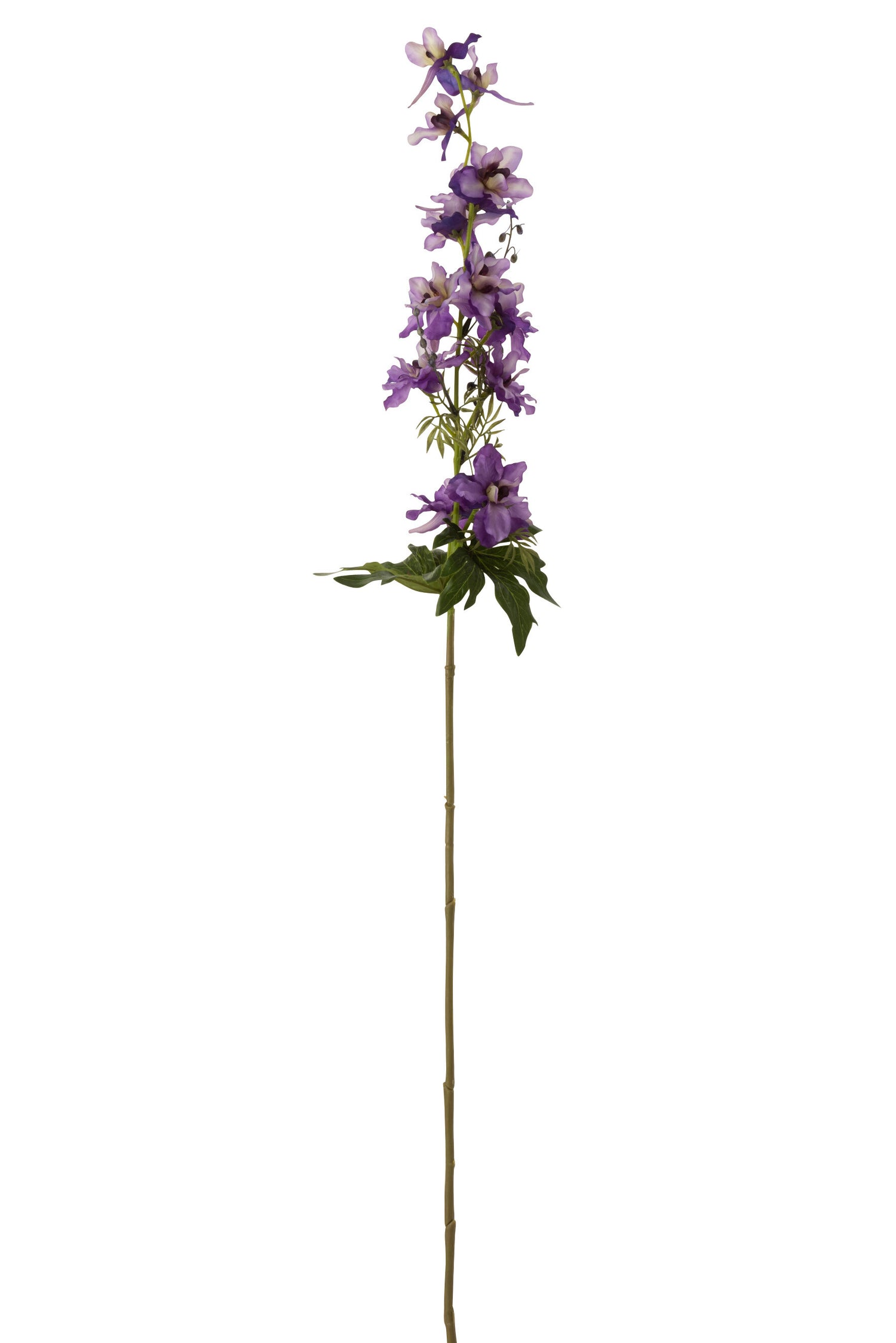 J-Line Bloem Delphinium Plastiek Donker Paars