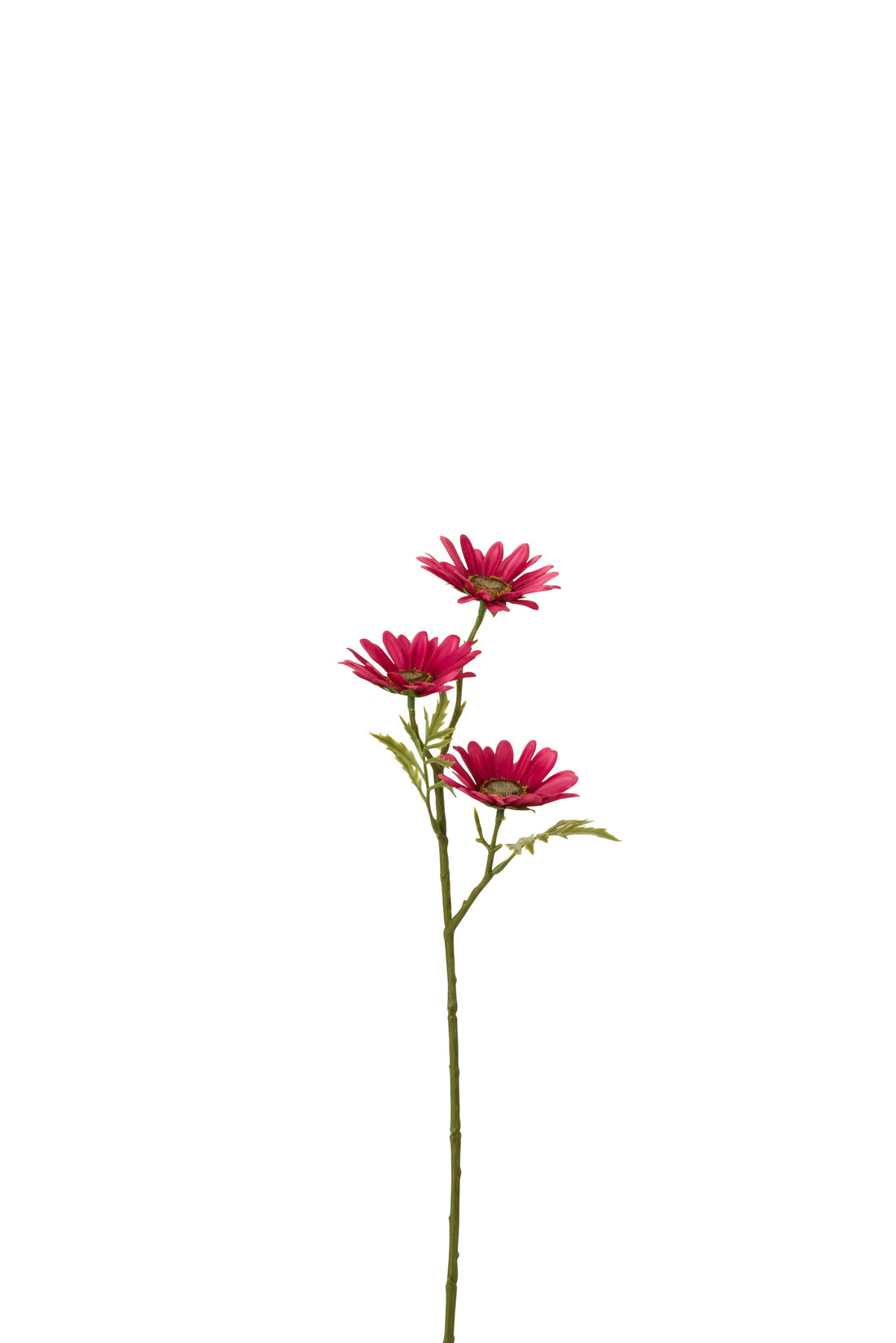 J-Line Bloem Madelief Plastiek Fuchsia