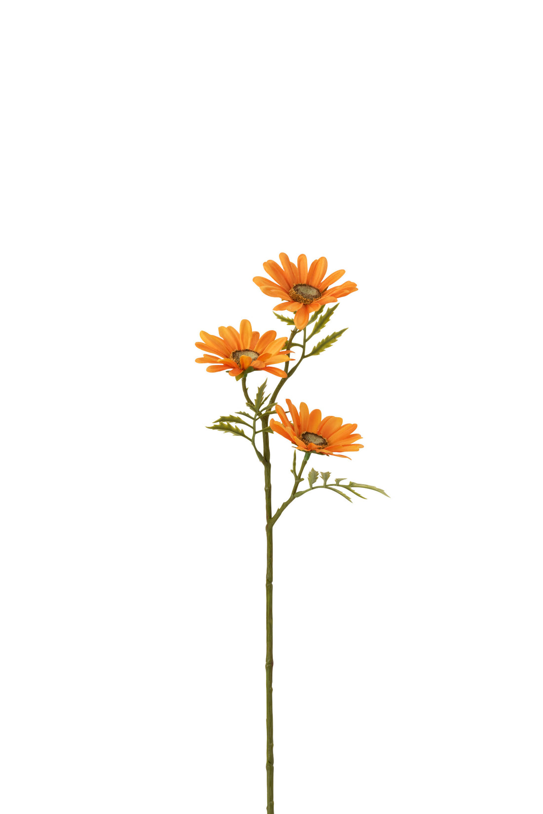 J-Line Bloem Madelief Plastiek Oranje