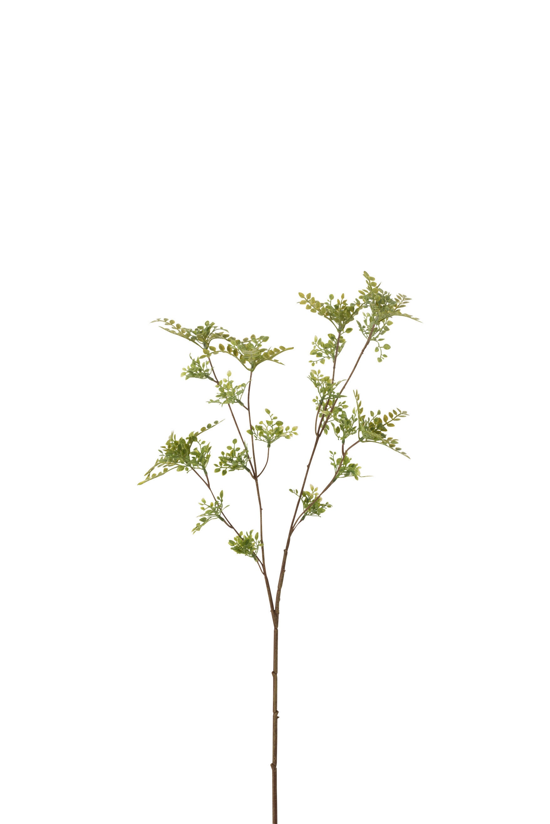 J-Line Tak Fijne Blaadjes Plastiek Groen