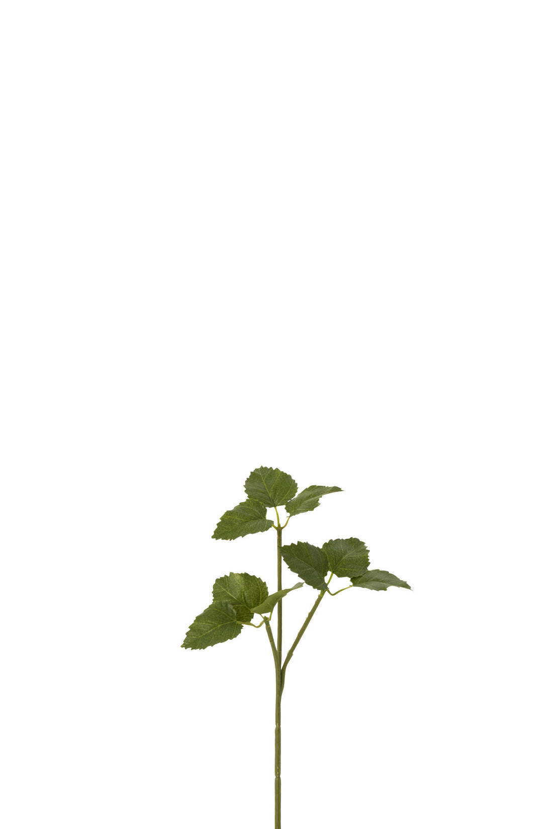 J-Line Tak Hoppe Plastiek Groen