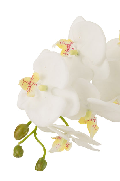 J-Line Orchidee In Aarde Plastiek Wit/Groen Large