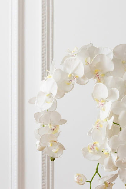 J-Line Orchidee In Aarde Plastiek Wit/Groen Extra Large