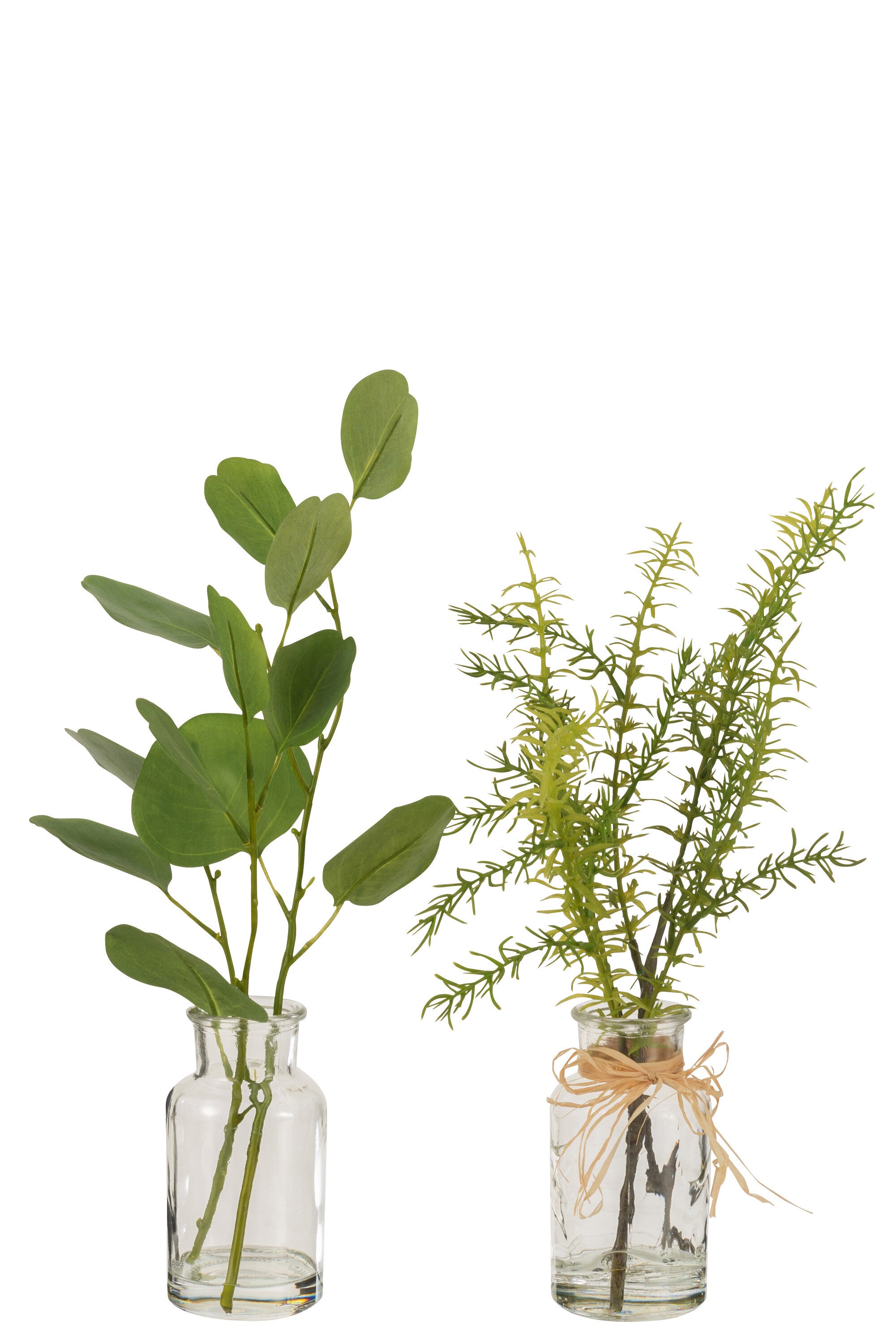Eucalyptus/Takken In Vaas Glas Transparant/Kunststof Groen Assortiment Van 2