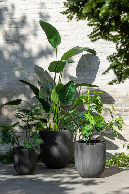 J-Line Chinese Vijg Ficus Boom In Pot Plastiek Groen/Zwart Large