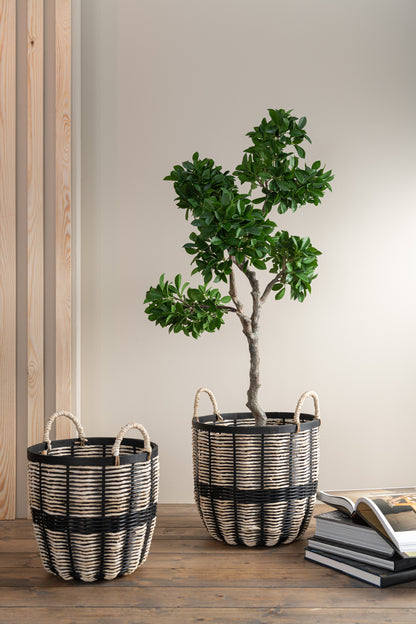 J-Line Chinese Vijg Ficus Boom In Pot Plastiek Groen/Zwart Large