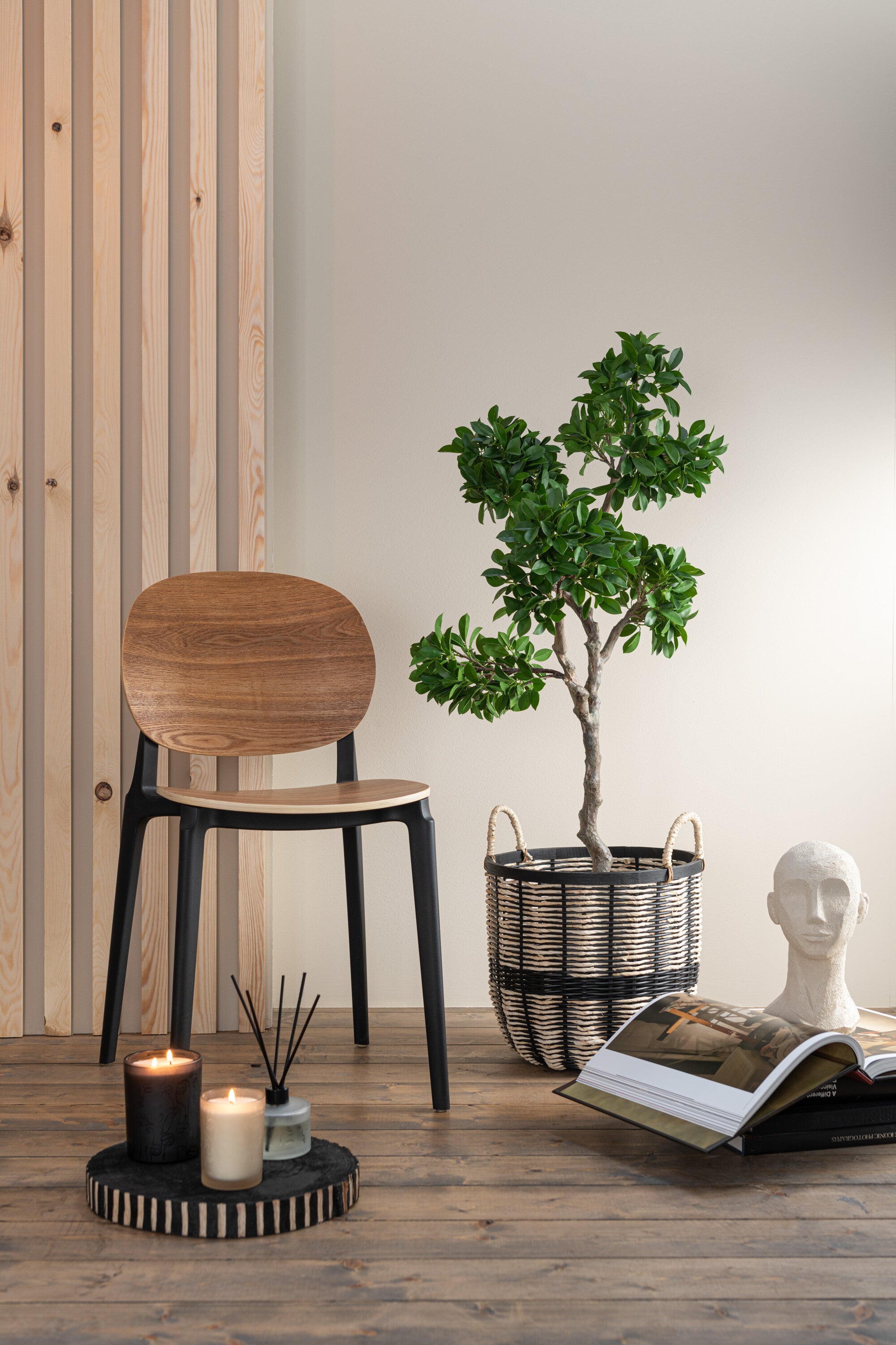 J-Line Chinese Vijg Ficus Boom In Pot Plastiek Groen/Zwart Large