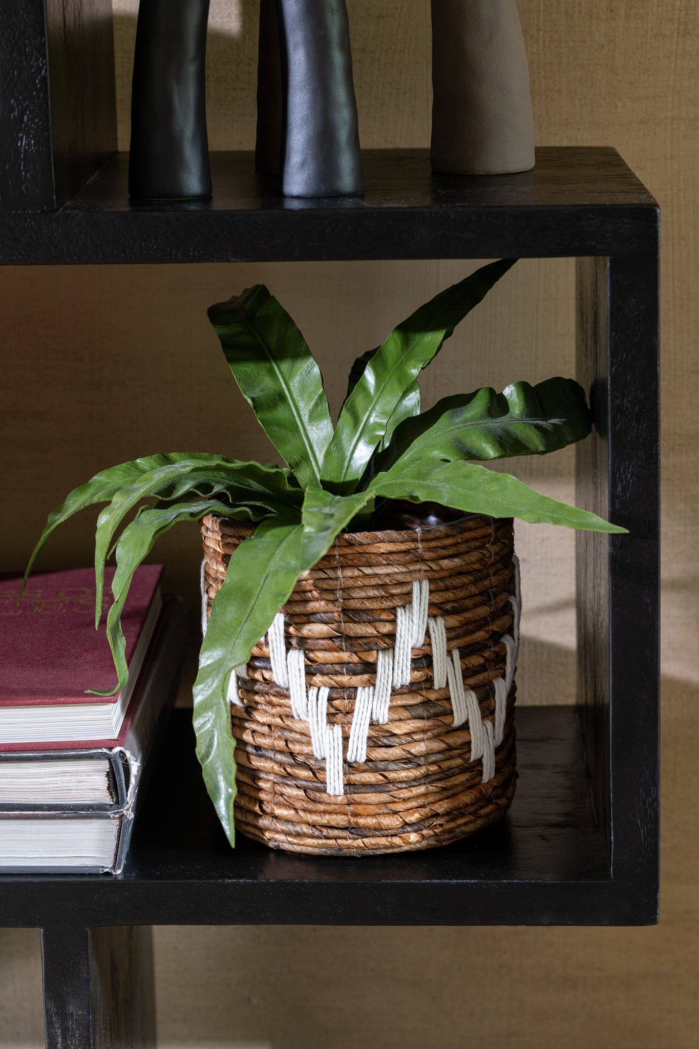 Slangplant Bal Grond Plastic Groen
